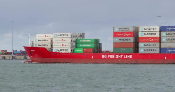 Container Ship en Rotterdam — Vídeo de stock