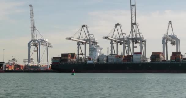 Navios porta-contentores carregados no porto de Roterdão — Vídeo de Stock