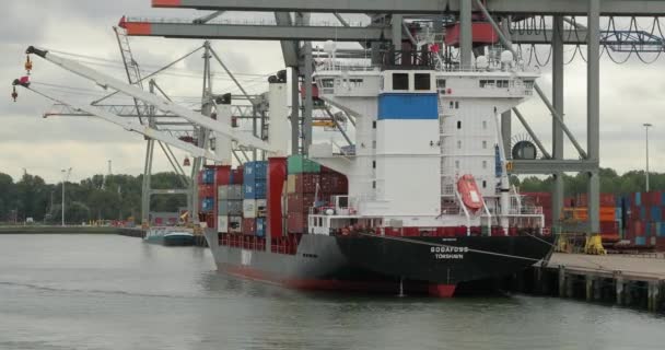 工业货运港的集装箱船 — 图库视频影像