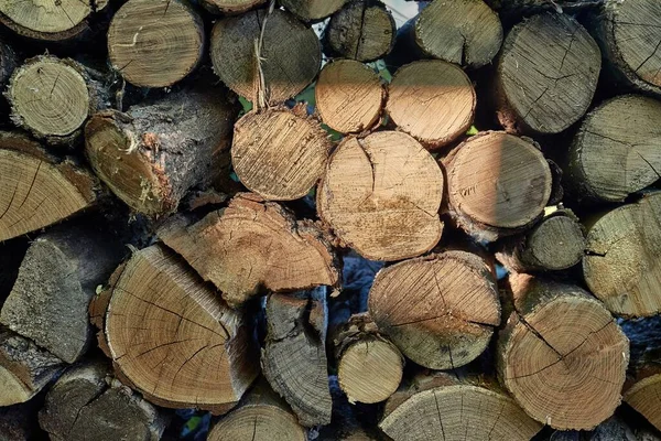 Σωρός ξυλείας καταγραφής — Φωτογραφία Αρχείου