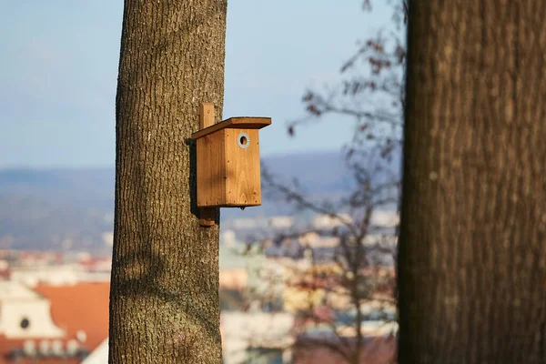 Bird feeder in a park — Stock Photo, Image