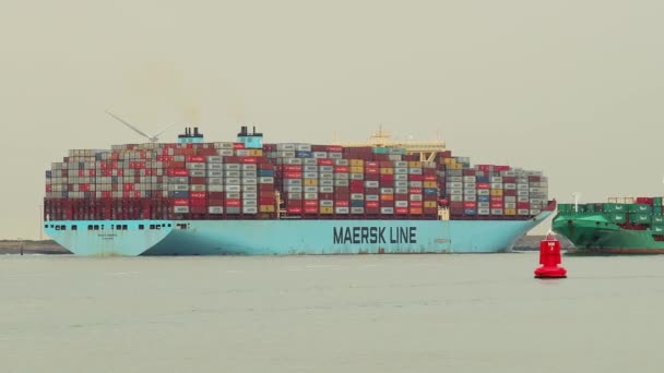 Nave container enorme a Rotterdam — Video Stock