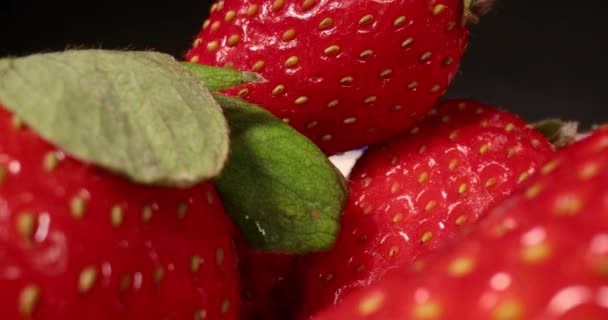 Strawberries in a pile probe lens macro — Stock Video