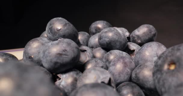 堆栈探测仪中的蓝莓宏 — 图库视频影像