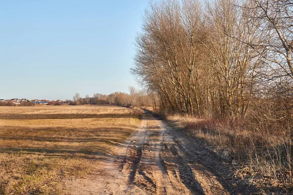 Сільський ґрунтовий дорожній пейзаж, бліда осінь — стокове фото