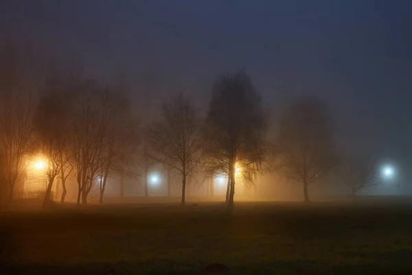 Foggy nuit mystérieuse dans le parc — Photo