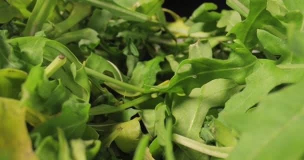 Macro de ensalada verde fresca con lente de sonda — Vídeos de Stock