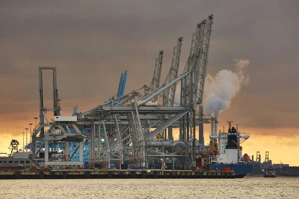 Containerdock in Rotterdam — Stockfoto