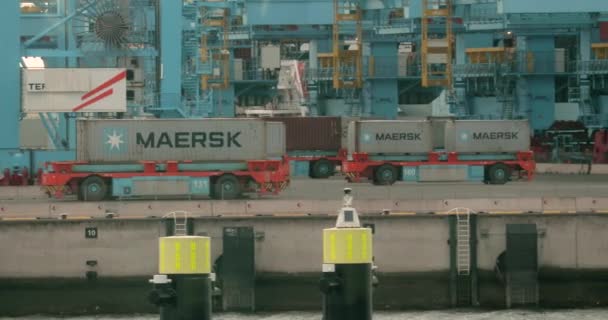 Terminal de contenedores RWG Rotterdam — Vídeos de Stock