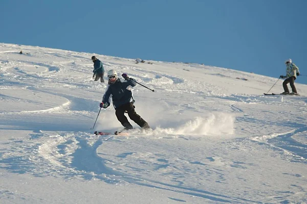 Skiën in verse poedersneeuw — Stockfoto