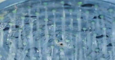 Yağmur suyu akıyor