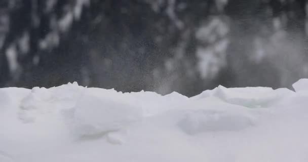 Schneesturm vertreibt Schnee — Stockvideo