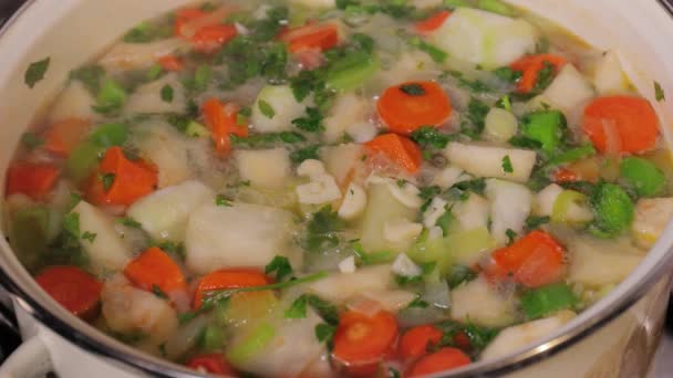 Кулінарний овочевий суп зі свіжими інгредієнтами — стокове відео