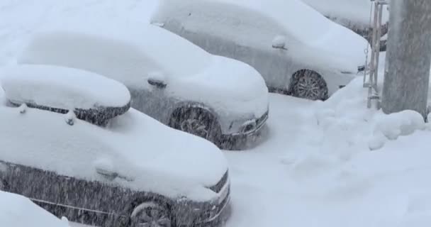 Snöar på parkering bilar på vintern — Stockvideo