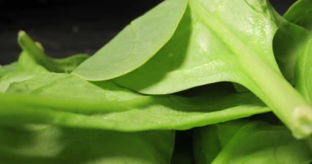 Macro de espinacas verdes frescas con lente de sonda — Vídeo de stock