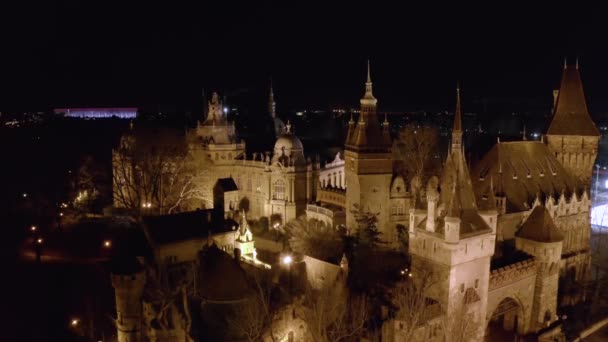 Utsikt över Vajdahunyads slott, Budapest — Stockvideo