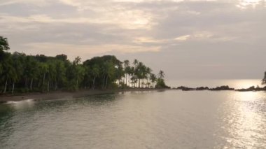 Pasifik Sahili Yağmur Ormanı