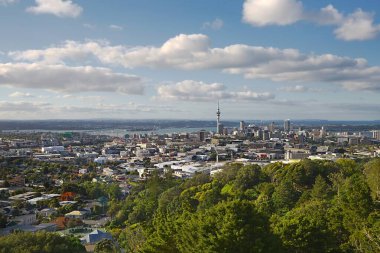 Auckland Manzarası