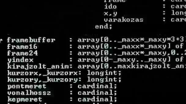 Ekranda çalışan bilgisayar kodu — Stok video