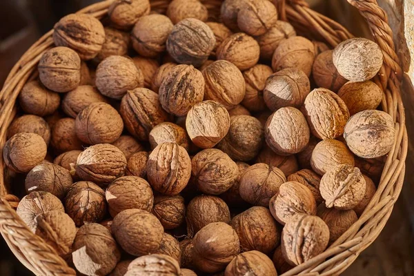 Walnuts in a pile — Stock Photo, Image