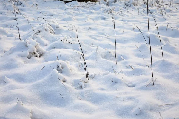 Erster Schnee auf einer Wiese — Stockfoto