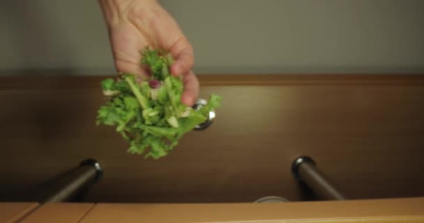 Fresh green salad leaf dropped on food — Stock Video