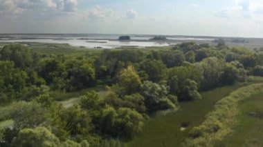 Bitkilerle su yüzeyi