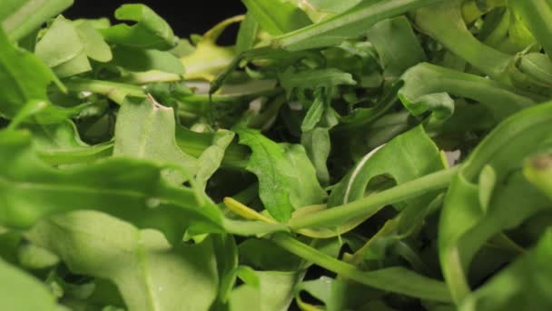 Mercekli taze yeşil salata makrosu. — Stok video