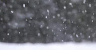 Arka planda düşen kar ağacı