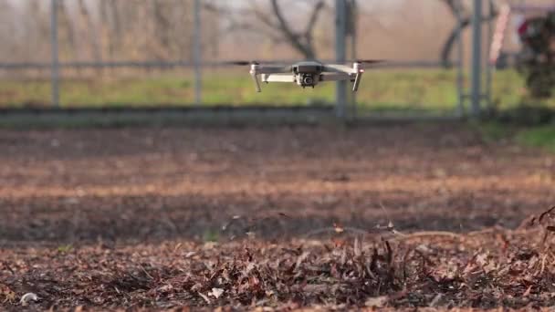 Drone soffia foglie autunnali su un vialetto — Video Stock