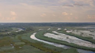 Bitkilerle su yüzeyi