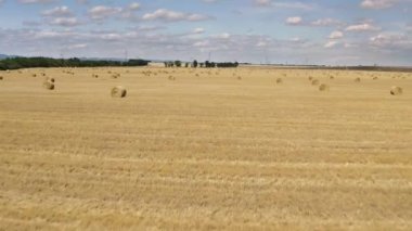 Balyalı tarımsal alan