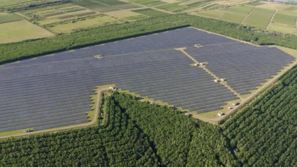 Solarpaneelkraftwerk — Stockvideo