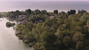 Kolombiya 'da Yağmur Ormanları Olan Pasifik Sahil Köyü