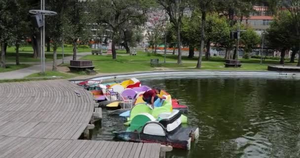 Slunečné počasí rybník a šlapadla lodě v parku — Stock video