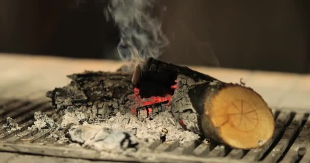 Plameny ohně v krbu — Stock video