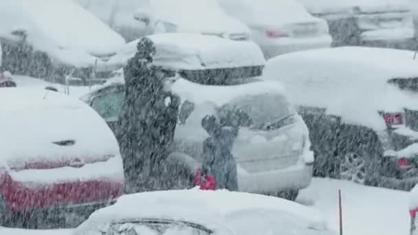 Snöar på parkering bilar på vintern — Stockvideo