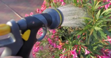 Bahçedeki bitkileri sulamak