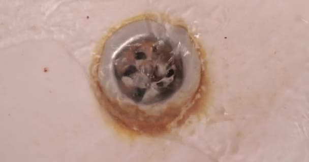 Pia do banheiro sujo drenagem escala de água — Vídeo de Stock