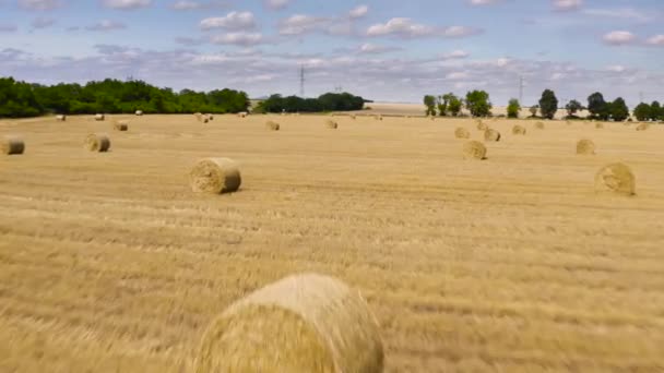 Landbouwgebied met balen — Stockvideo