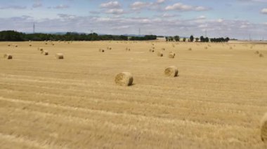 Balyalı tarımsal alan