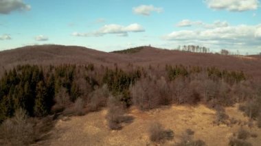 Tepe ve orman insansız hava aracı görüntüsü