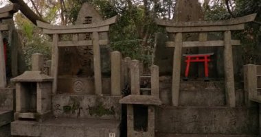 Fushimi Inari Taisha torii kapıları