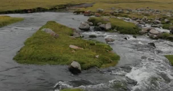 Arroyo salvaje en un paisaje montañoso en los Andes — Vídeos de Stock
