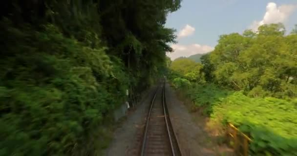 Viaje en tren a una pequeña ciudad japonesa, línea de ferrocarril rural — Vídeo de stock