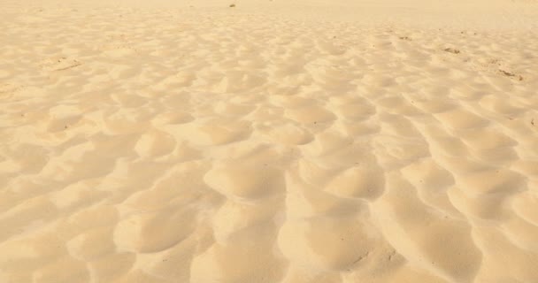 Sand Dune Landscape with people in the distance — Stock Video