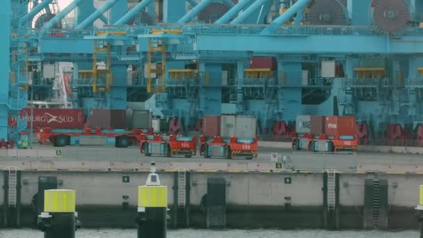 Terminal de contenedores RWG Rotterdam — Vídeos de Stock