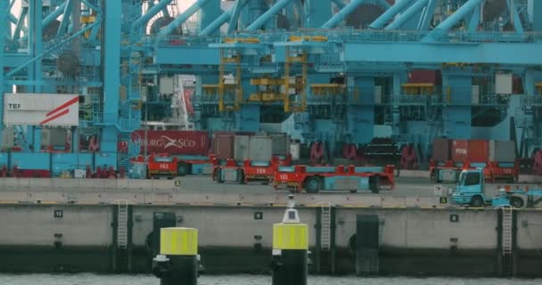 Terminal de contenedores RWG Rotterdam — Vídeos de Stock