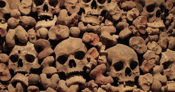 Skulls and bones in a wall — Stock Video