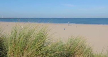 Hollanda 'daki kumsal.